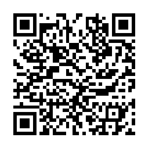 尸王血脉能够让他从跳尸开始就能自主的吸收阴气二维码生成