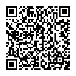 尸阴宗的弟子在城门口盘查着每一个进出的尸阴宗弟子甚至于外来的魔界弟子二维码生成