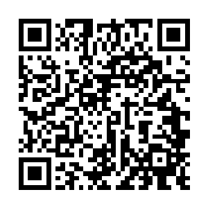 尸阴宗的裘长老和周长老就已经带着他们的大部队帮手二维码生成