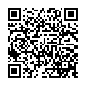 尹姐姐说的可是那个参加小世界大比的中元星系的许紫烟二维码生成