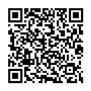 尹新月也想季疏云一样将整个背部都呈现了出来二维码生成
