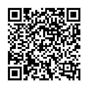 尼克古拉斯突然出现在那两名失神的圣皇强者身边二维码生成