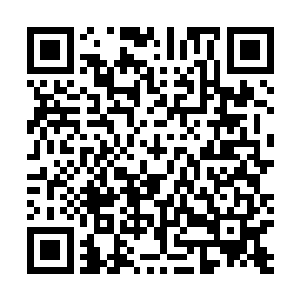 尼克古拉斯险之又险的躲开了这道能粉碎元神攻击的元气二维码生成