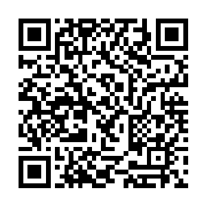 尼克雷因为白化病而发红的眼睛之中闪过了一丝狡黠二维码生成