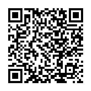 尼古拉斯一麦克伦用手中的相机记录下了眼前的瞬间二维码生成