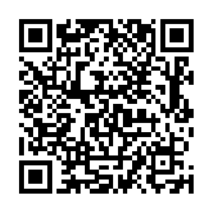 尼尔和佩德罗常年以来的坚持终于换来了登上舞台的机会二维码生成