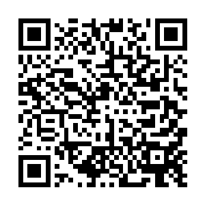 尼尔王把亚兰大巫传过来的消息原原本本地告诉了胡莲二维码生成