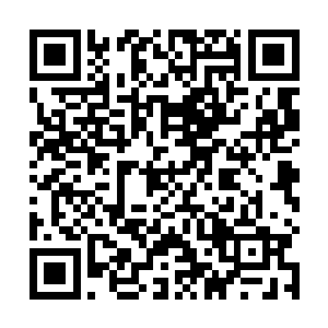 尼尔王要求他们用最快速度研制专门寻找无角人的骨器二维码生成