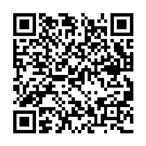 尼布加尼萨号的船员基本上不会来到这个船舱之中二维码生成