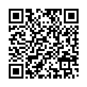 尼恩商队很快就被带到了暗之森林的核心二维码生成