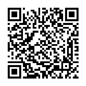 尼日利亚政府是绝对不会对毛里克斯拉尼发动进攻的二维码生成