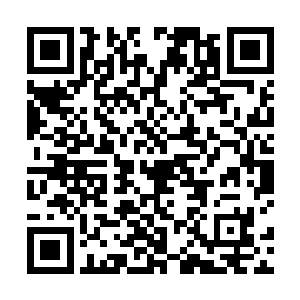 尼科在六十年代当时居然与诸多摇滚乐队成员都有过风二维码生成