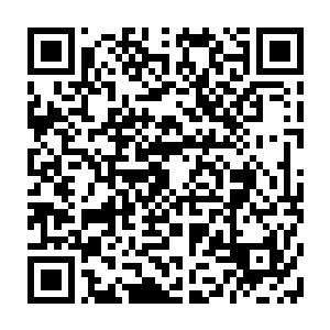 尽可能拉近自己与那些实力堪称恐怖的高手的距离……虎啸丹是一个不错的途径二维码生成