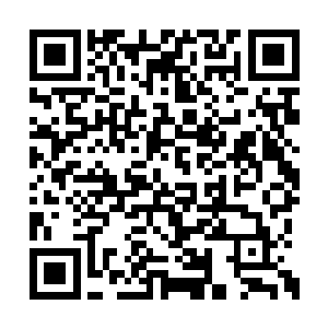 尽可能的削弱楚暮的攻击速度为自己争取到时间二维码生成