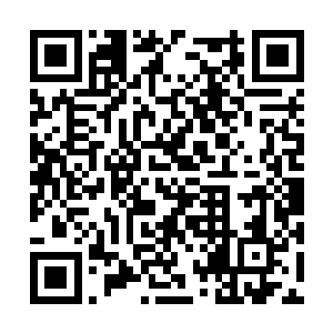 尽快的拉拢能够帮助自己的天道无止境师兄弟姐妹二维码生成