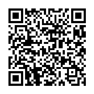 尽数与霍君白几乎用全部真气凝成的九龙子撞击在一起二维码生成