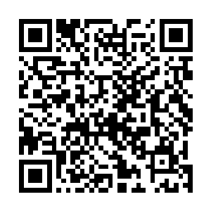 尽管人鱼王没有将这些海域归入自己的领地海域范围之内二维码生成