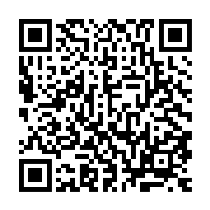 尽管从天魔圣教那三位主神手中得到的上品神晶拿了一半给沈剑二维码生成
