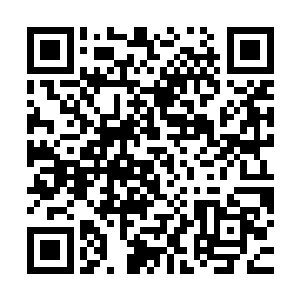 尽管他们之前心里已经隐隐猜到侯梦达根本不会他自己说的那些二维码生成