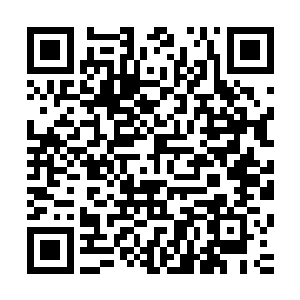 尽管他们当中有许多人都知道这次的目标人物实力极为的不弱二维码生成