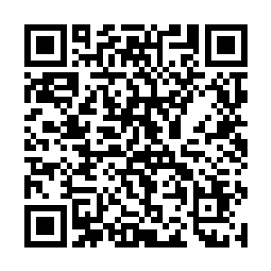 尽管他们当中超过九层以上的人都没有见过镇元圣主二维码生成