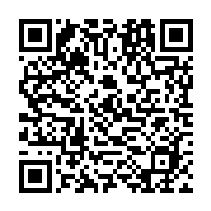 尽管他方才被蔡京和高衙内他们弄得是一个头两个大二维码生成