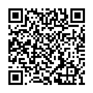 尽管以他现在的手段和实力圣人境之中谁也不怕二维码生成
