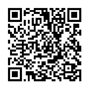 尽管以前众人都听别人不止一次的描述过异族的样子二维码生成