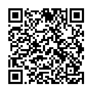 尽管只能算是在边学道这棵大树下享受最边缘的一点树荫二维码生成