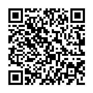 尽管后面几年又增加了三十多个虚灵后期的强者二维码生成