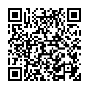 尽管唐劫一如既往的想把自己伪装成一个法术修者二维码生成