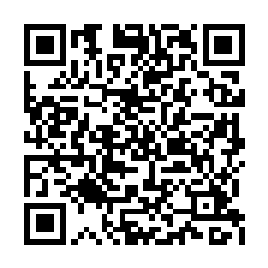 尽管在莫尼克公司的账面上依旧还有大量的资金二维码生成