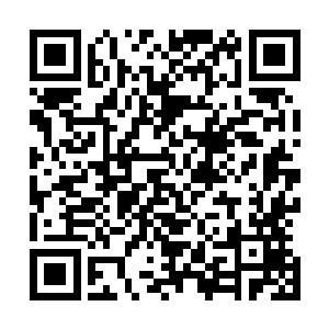 尽管天炎九头蛇傀儡被如同风暴一般的刀刃切割的伤痕累累二维码生成