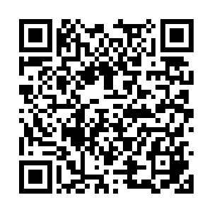 尽管她心中清楚凭她现在的实力还无法打破那层结二维码生成