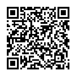 尽管她见着自己来的时候已经用了最快的速度消失在眼前二维码生成