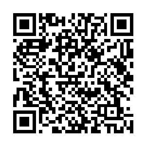 尽管已经高调的在整个大陆上给夜染打上了他君墨皇的标签二维码生成