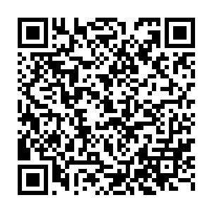 尽管很震惊聂云才离开短短两年多时间就能和皇境巅峰强者抗衡了二维码生成