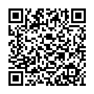 尽管教皇的身上已经被陈小练加上了一个防御罩二维码生成