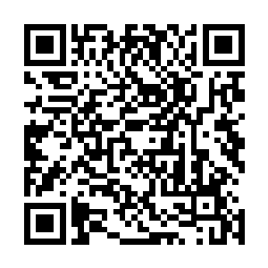 尽管是来自四大宗派和猎海城各个家族精挑细选的精锐修士二维码生成