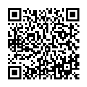 尽管有猜测到本次会试恩科的会元可能不是周胖子而是另有其人二维码生成