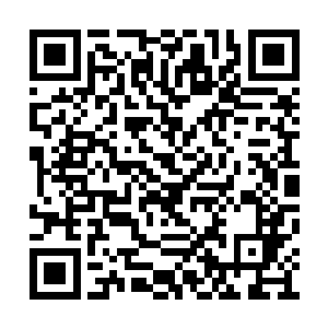 尽管有神官们接二连三的神术轰在地狱犬的身上二维码生成