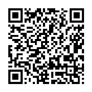 尽管杨锐的论文尚未发表――以s此等顶级期刊的尿性二维码生成