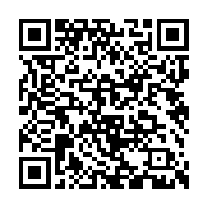 尽管浑身上下像是被荆棘条狠狠抽打过一样疼痛二维码生成