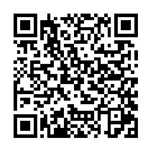 尽管秩序火种庇佑了他们的子民不受混乱魔力的影响二维码生成