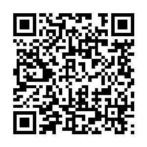 尽管穿婚纱需要露出小半片胸脯与与整片肩膀手臂二维码生成