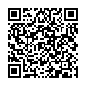 尽管紫龙王已经把有可能有火凤翎羽的地方告知了吴岩二维码生成