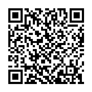 尽管苗毅交代了黑炭未得允许不要再乱开口说话二维码生成