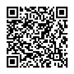 尽管蓝迦神王和碧天神王对于吴岩颇有些瞧不上眼二维码生成