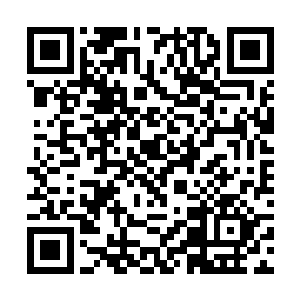尽管这两个人可能根本就不是为了拯救我们而过来的二维码生成