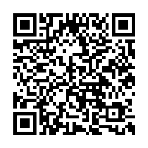 尽管这个女子一路上都在说和这烈火子关系不错二维码生成